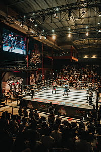 people, crowd, motion, stadium thumbnail