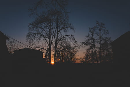 wood, light, city, dawn thumbnail