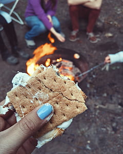 person holding biscuit thumbnail