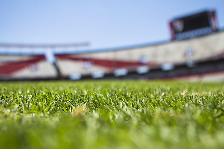 grass field thumbnail