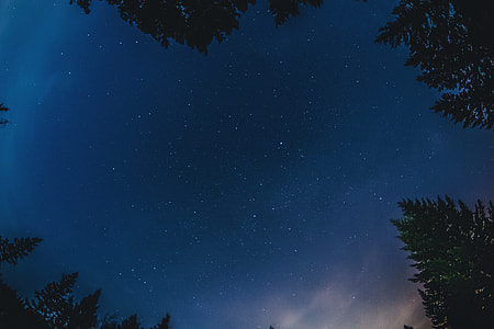 low angle photography of cloudless sky thumbnail