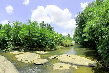 landscape, nature, relaxation, water thumbnail
