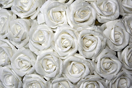 selective focus photography of white rose flowers thumbnail