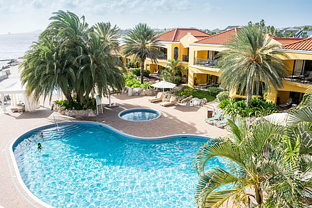 high angle photo of swimming pool surrounded by trees thumbnail