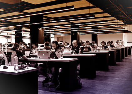 Young People Working on Their Computers thumbnail