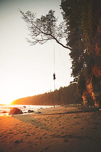 man hanged on rope near seashore thumbnail