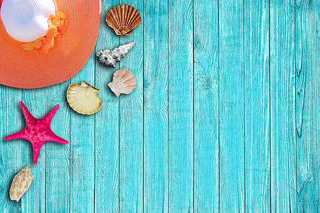 close up photo of sea shells in teal wooden floor and brown and white sun hat thumbnail