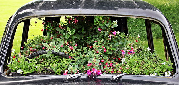 photo of black car filled of flowers thumbnail