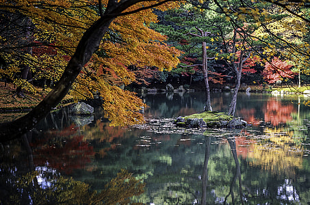 Autumn Leaves and Lake in Kyoto, Japan thumbnail