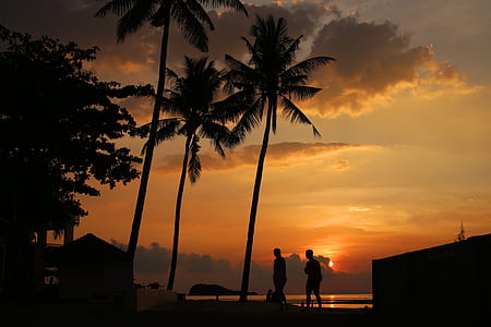 sunset silhouette of two persons walking under coconut trees thumbnail