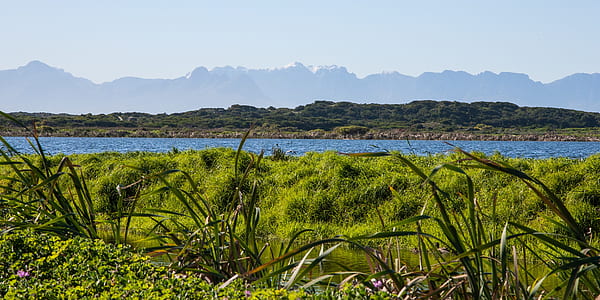 green grass field near body of water thumbnail