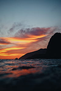 silhouette of bird flying over the mountain during sunset thumbnail