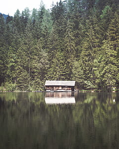 brown house beside lake and trees thumbnail
