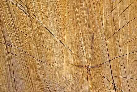 brown board thumbnail