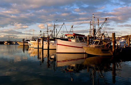 white and brown boats on ocean during daytime thumbnail
