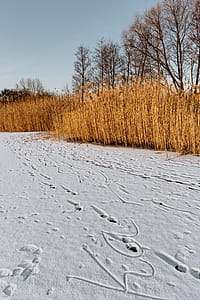 In middle of frozen lake thumbnail