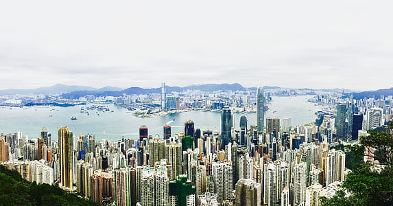 aerial photography of city buildings at daytime thumbnail