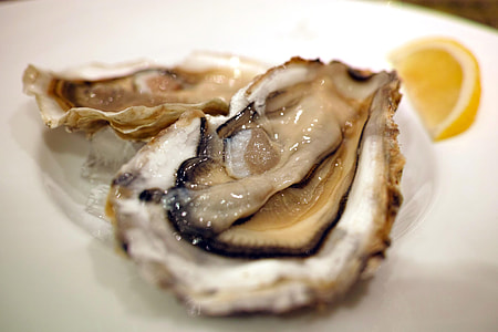 seafood thumbnail
