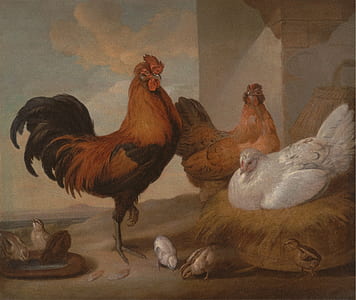 three assorted chicken illustration thumbnail