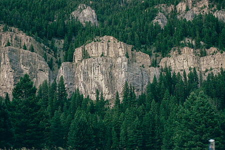 rock formation surrounded with green trees thumbnail