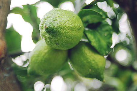 green lemon closeup photography thumbnail