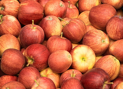 Apple lot thumbnail