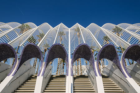 Close-up Photography of Purple and White Concrete Stair Stepper thumbnail
