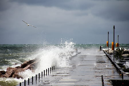 body of water waves during daytime thumbnail