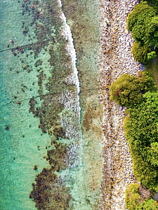 aerial view of ocean shore thumbnail