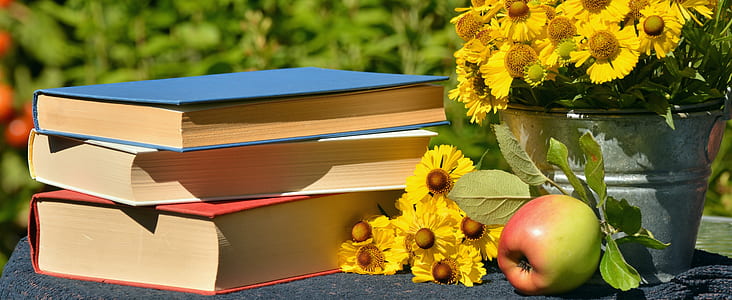 two blue and one red covered books thumbnail