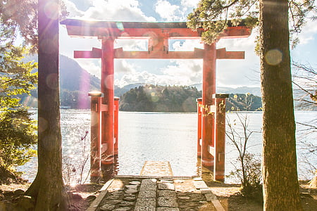 brown wooden gate in front of body of water thumbnail