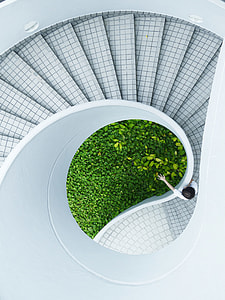 high-angle photo of spiral staircase thumbnail