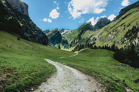 gray pathway on grass field thumbnail