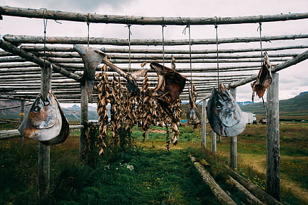hanging dried meats thumbnail