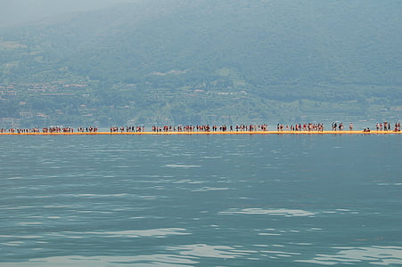 people swimming at the beach at daytime thumbnail