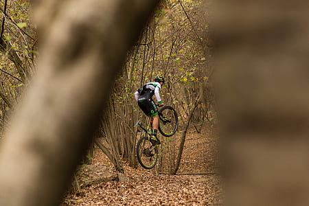 man riding bike near trees thumbnail