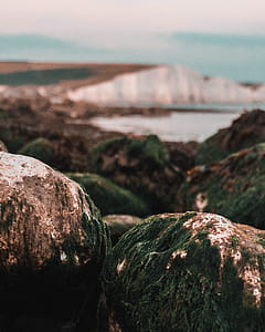 landscape, nature, water, coast thumbnail