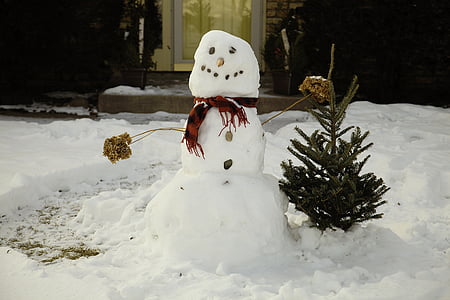 snowman decor during daytime thumbnail