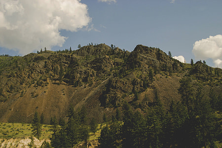 photo of tree covered mountain thumbnail