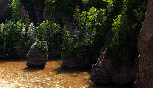 Hopewell Rocks, Bay Of Fundy thumbnail