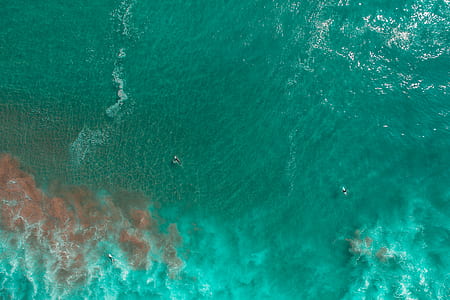 aerial photography of sea thumbnail