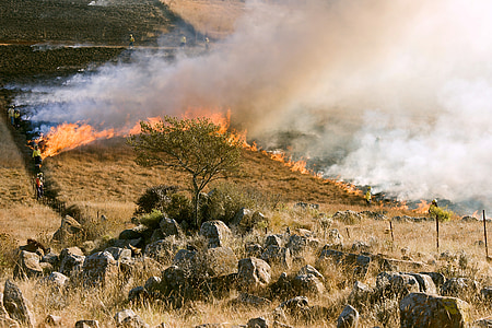 grass fire thumbnail