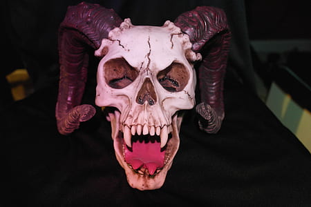 white and black skull with horns thumbnail
