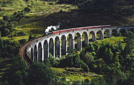train moving on a gray concrete path surrounded with trees on daytime thumbnail
