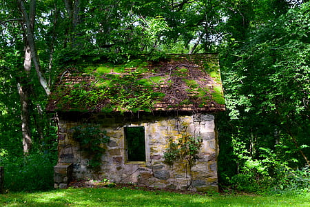 beige and green shed beside trees thumbnail