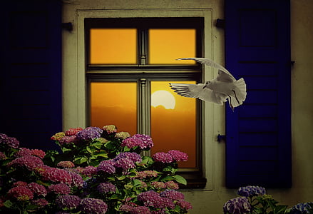 dove and flowers painting thumbnail