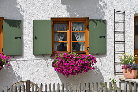 purple petaled flowers hanged under brown wooden framed glass door windows at daytime thumbnail
