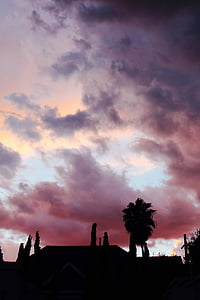 silhouette of trees under cloudy sky at daytime thumbnail