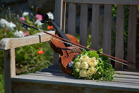brown violin and yellow rose bouquet thumbnail