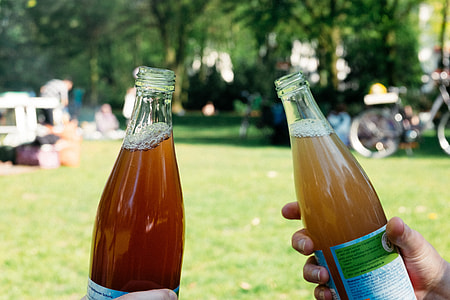 Clinking at the picnic thumbnail
